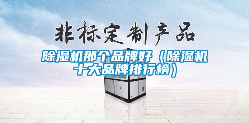 除濕機(jī)那個品牌好（除濕機(jī)十大品牌排行榜）