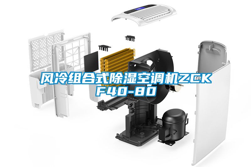 風冷組合式除濕空調機ZCKF40-80