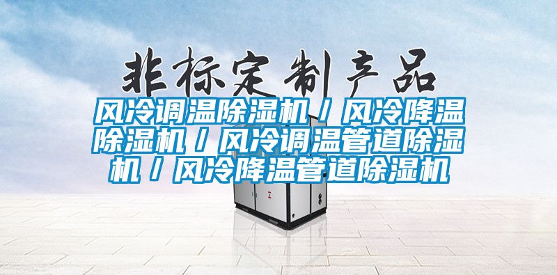 風冷調溫除濕機／風冷降溫除濕機／風冷調溫管道除濕機／風冷降溫管道除濕機