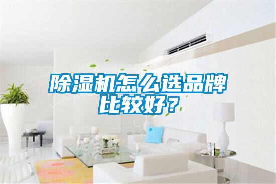 除濕機(jī)怎么選品牌比較好？