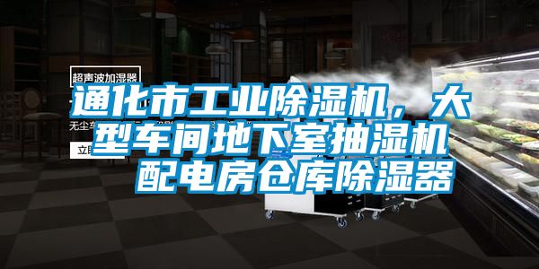 通化市工業(yè)除濕機，大型車間地下室抽濕機  配電房倉庫除濕器