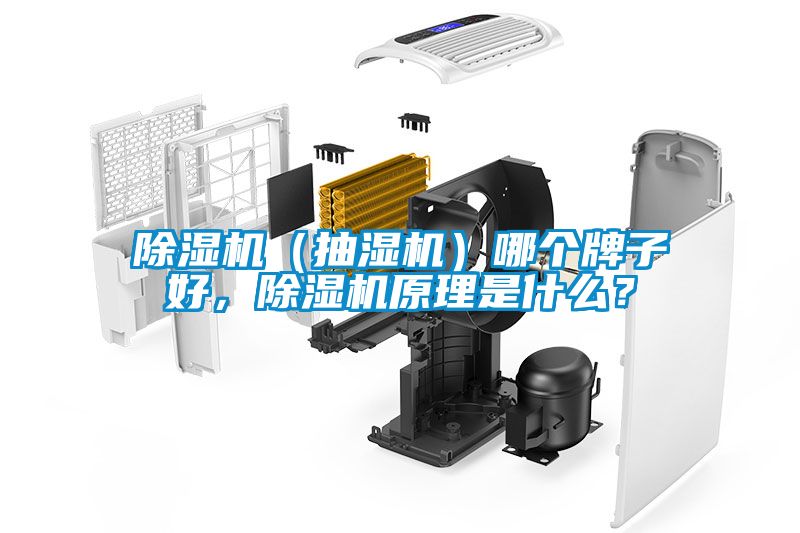 除濕機（抽濕機）哪個牌子好，除濕機原理是什么？