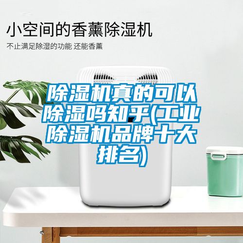 除濕機真的可以除濕嗎知乎(工業(yè)除濕機品牌十大排名)