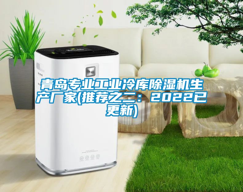 青島專業(yè)工業(yè)冷庫(kù)除濕機(jī)生產(chǎn)廠家(推薦之二：2022已更新)