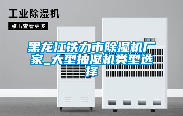 黑龍江鐵力市除濕機廠家_大型抽濕機類型選擇