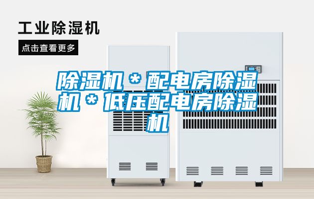 除濕機(jī)＊配電房除濕機(jī)＊低壓配電房除濕機(jī)